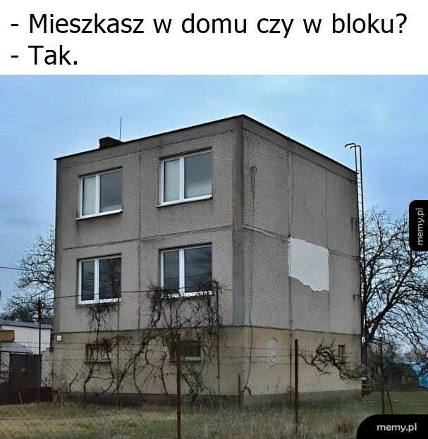 Blok czy dom