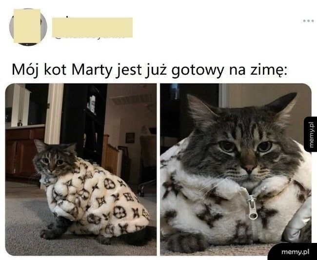 Gotowy na zimę