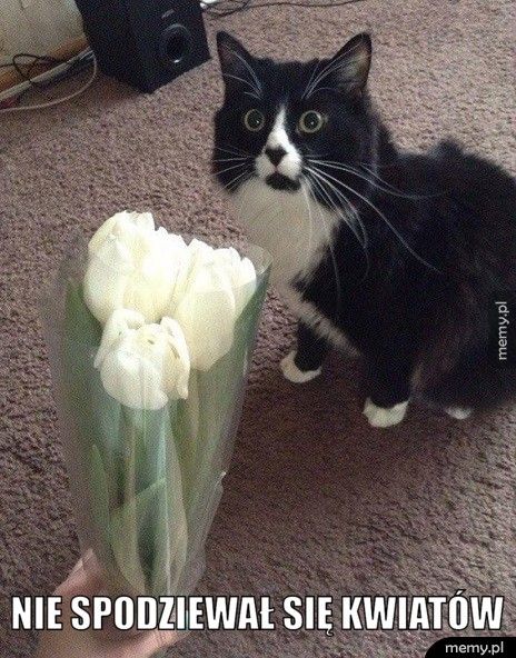  Nie spodziewał się kwiatów