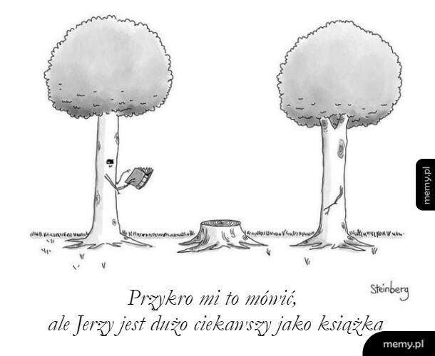 Jerzy