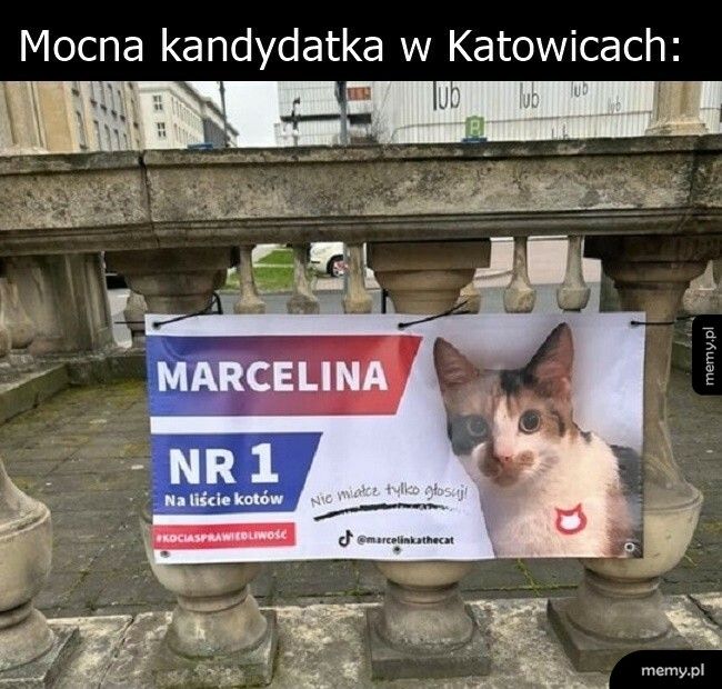 Mocna kandydatka w Katowicach
