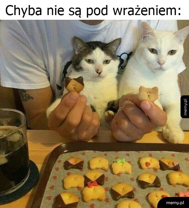 Chyba nie są pod wrażeniem