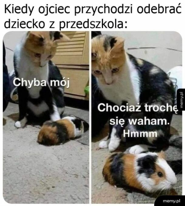 Niepewność