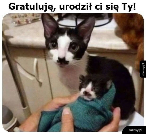 Na to wygląda