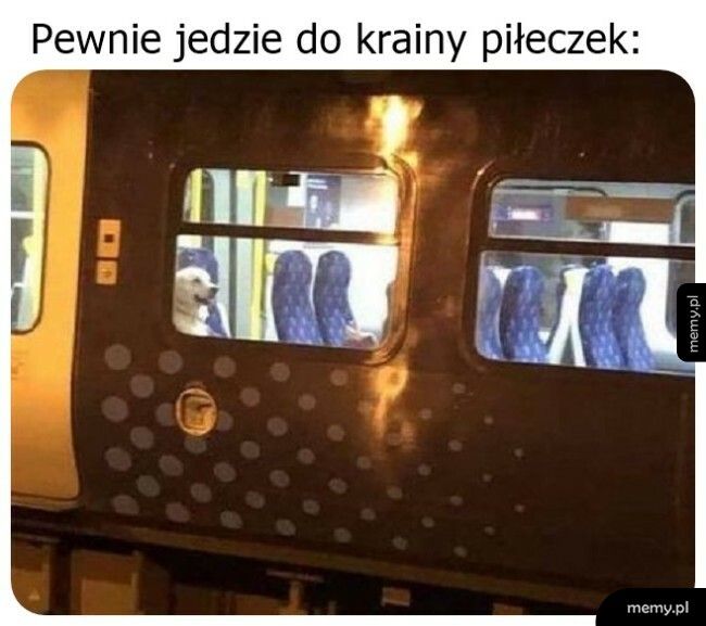 W drodze do krainy piłeczek