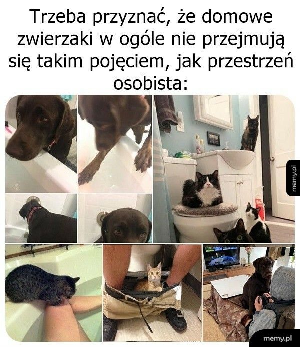 Zapomnij o prywatności