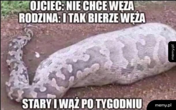 Kolejny mem o starym i zwierzaku