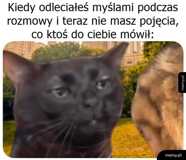 Przepraszam, możesz powtórzyć?