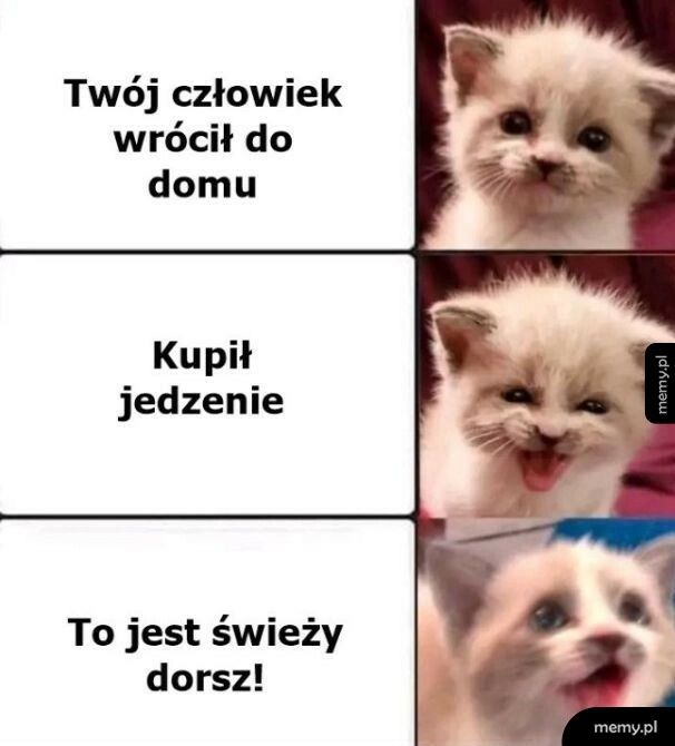 Będzie jedzone