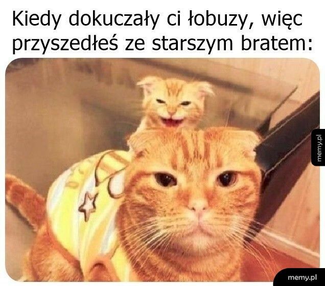 Już nie tak wesoło