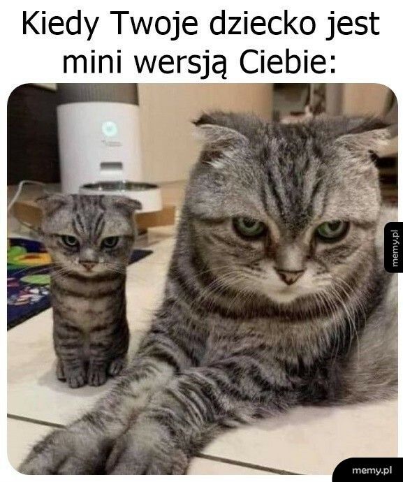 Genów nie oszukasz