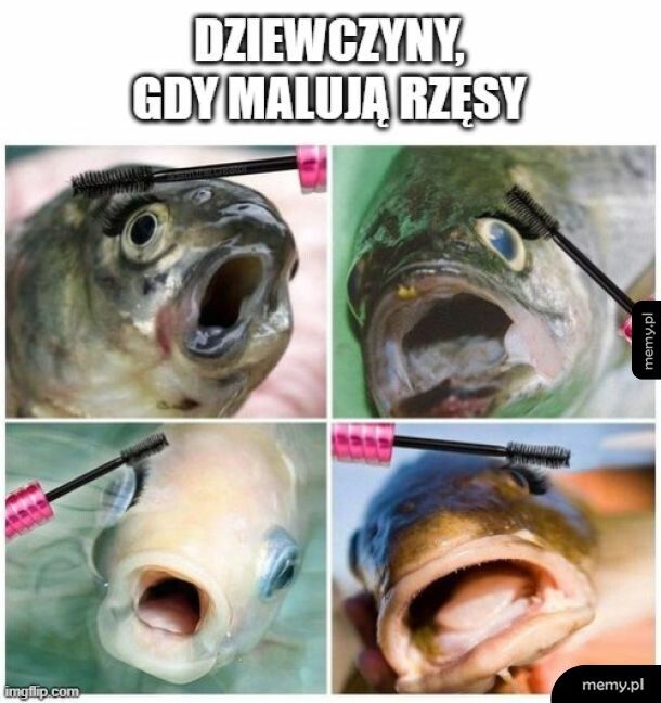 Dlaczego tak?