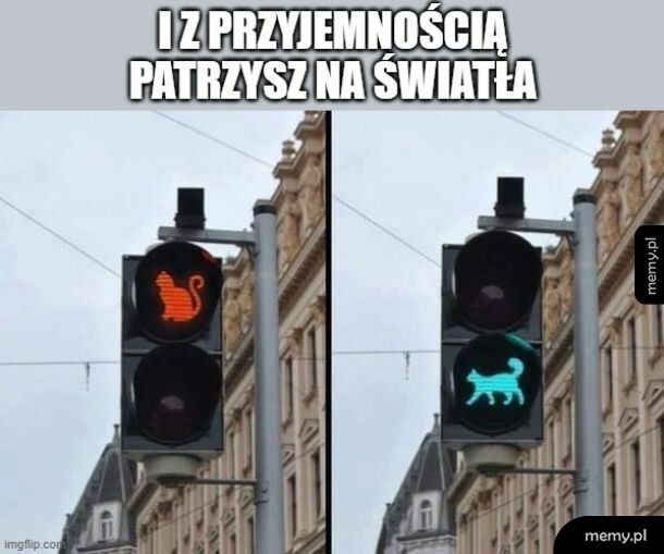 Sygnalizaja