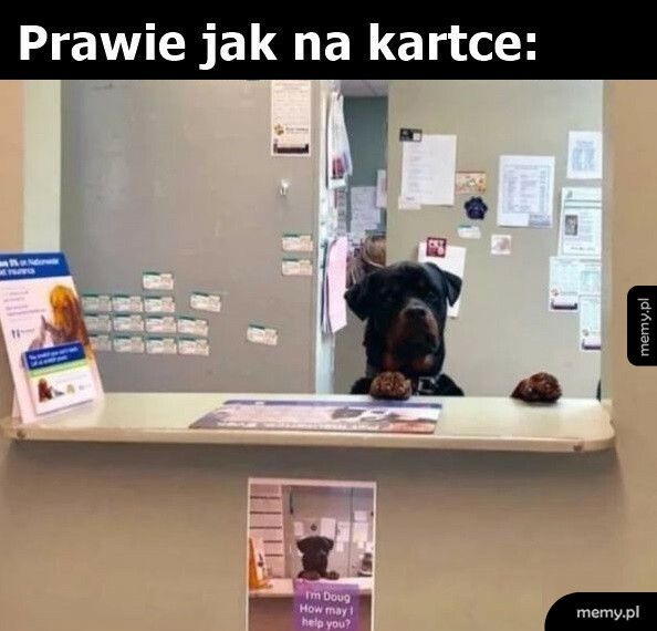 Stały pracownik