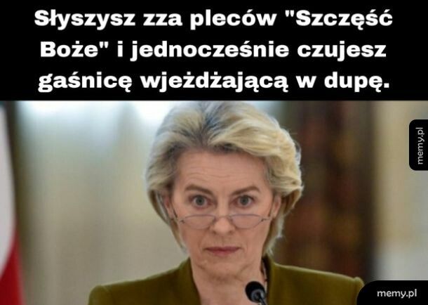 Niczym pszczoła w gnieździe szerszeni