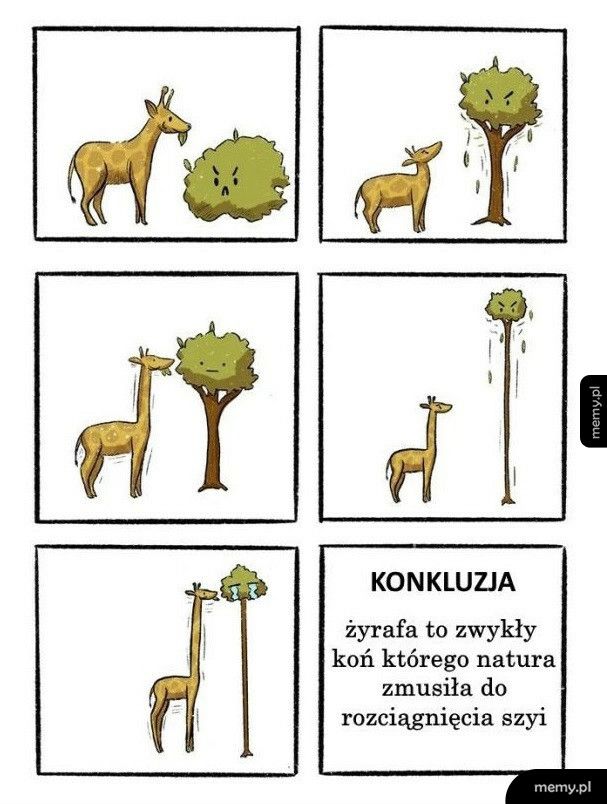 Konkluzja