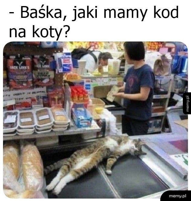 Kod na koty