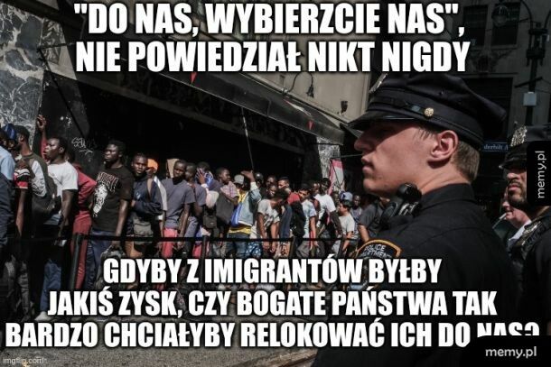 doktory i inżyniery