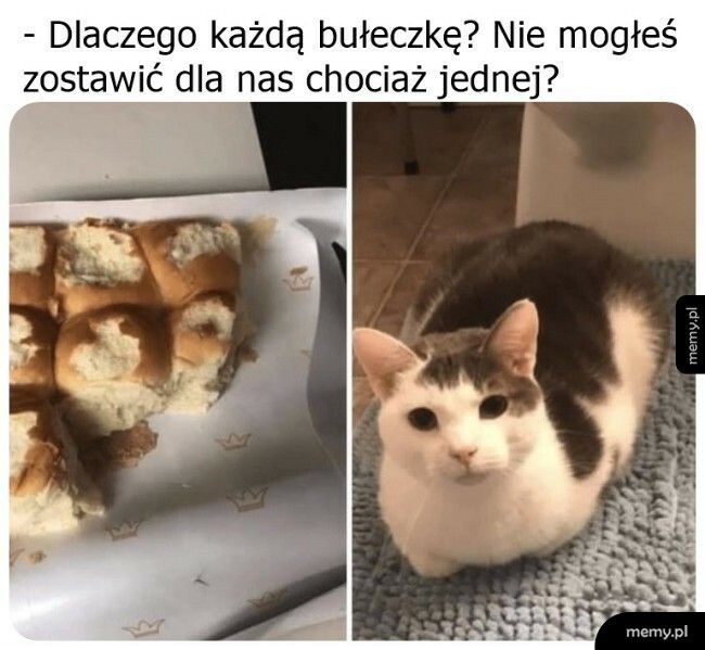 Znalazł się tester