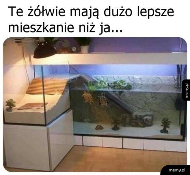 Nie ma sprawiedliwości na tym świecie