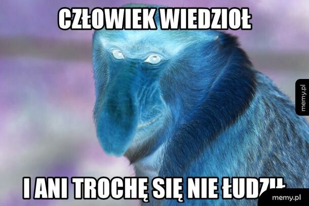 Po meczu