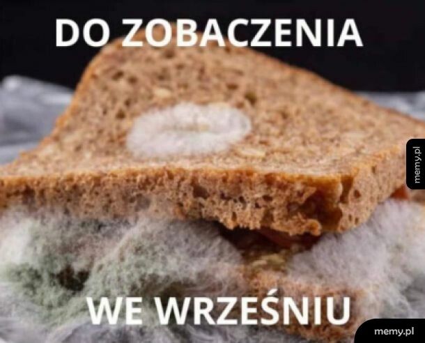 Śpij słodko, aniołku