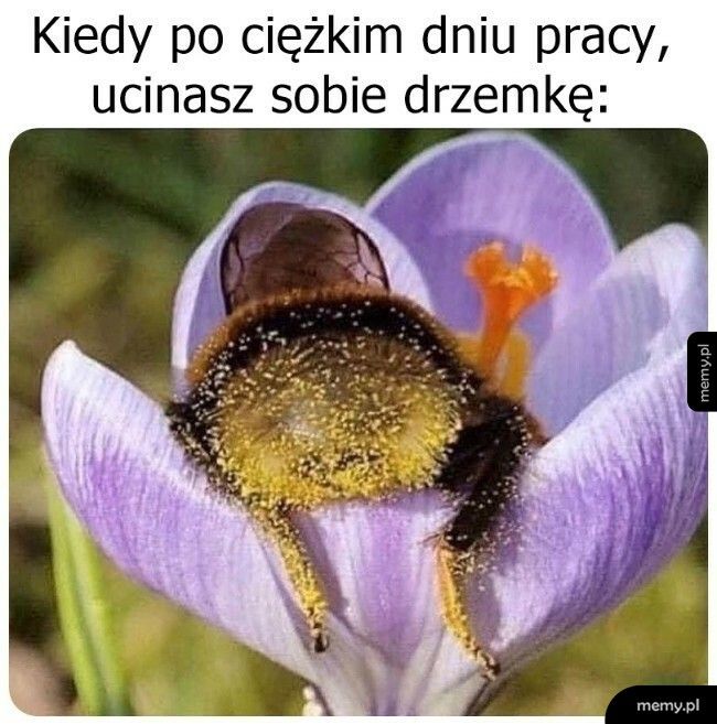 Czas na odpoczynek