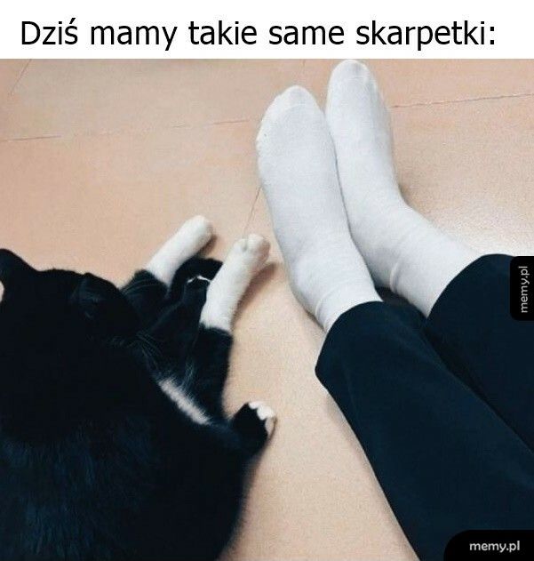 Skarpetki