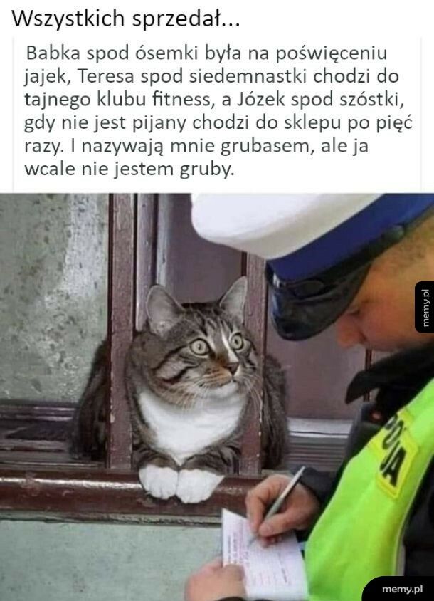 Wszystkich sprzedał