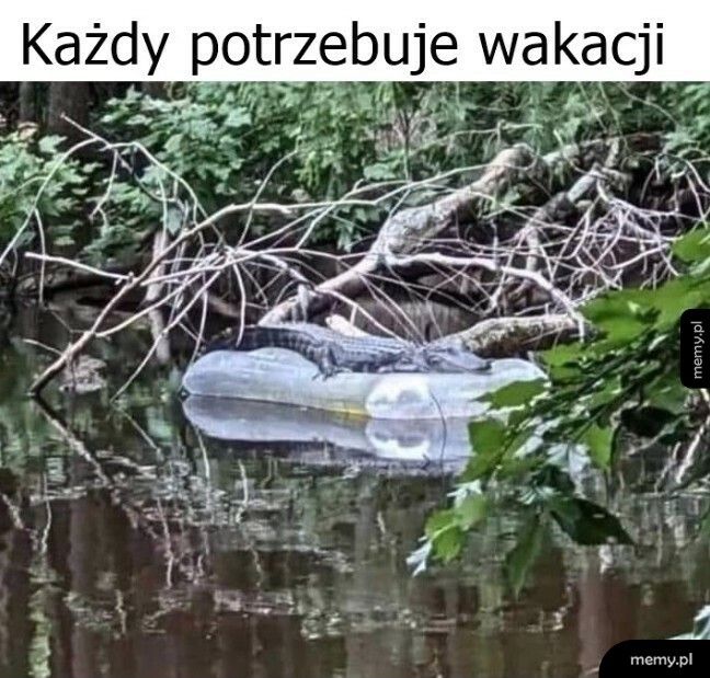 Wakacje