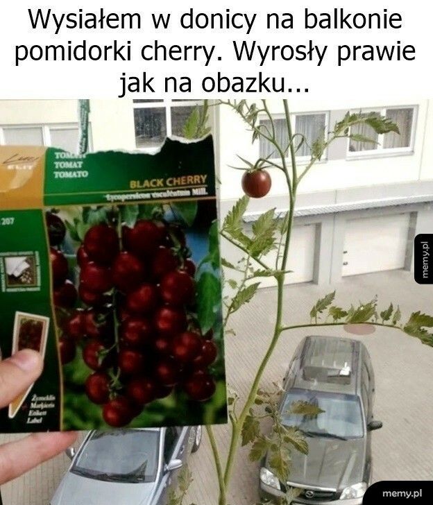 Jest i on - owoc ciężkiej pracy