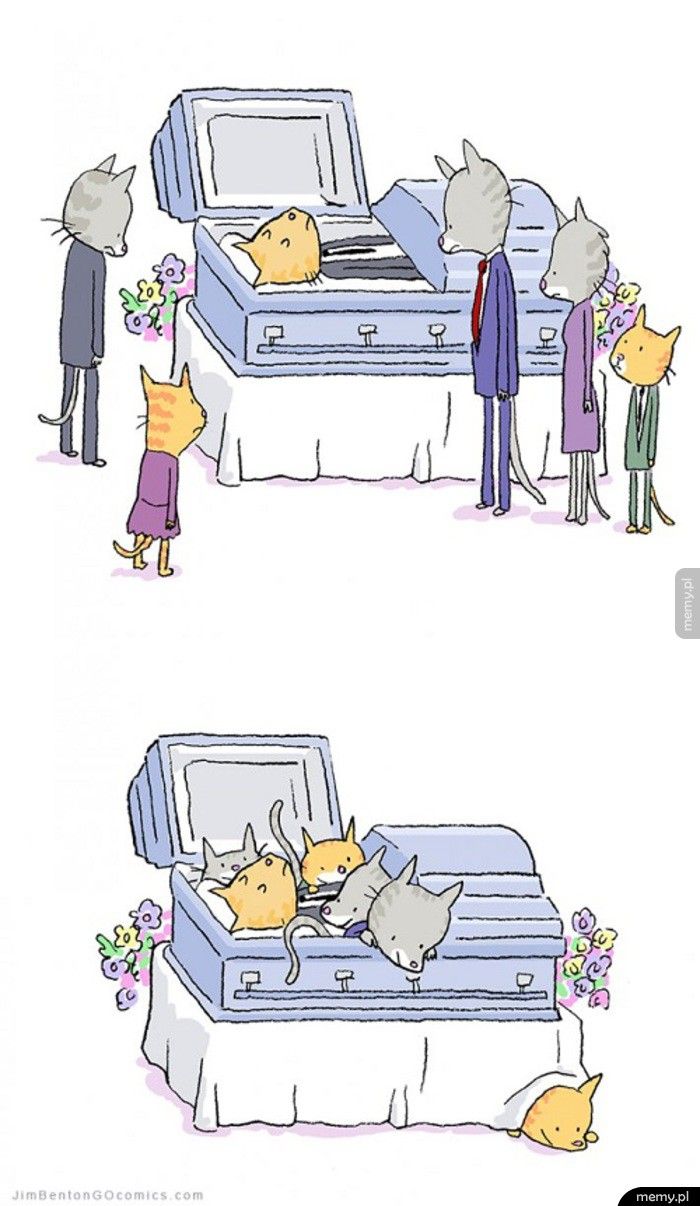 Koci pogrzeb