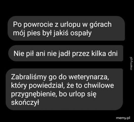 Powrót z urlopu