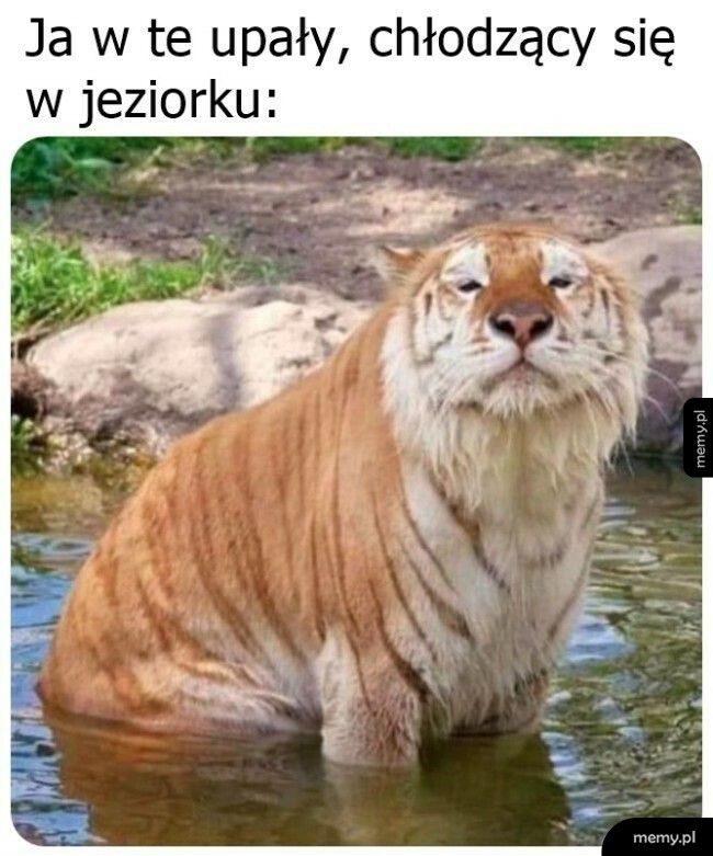 Trochę ochłody