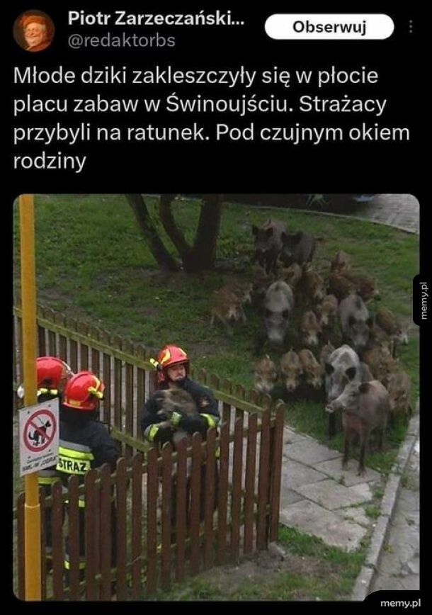 Rodzinny wypad