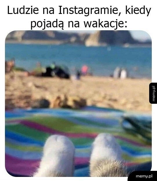 Zdjęcie z wakacji