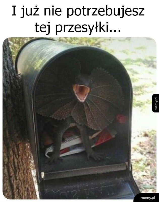 To ja przyjdę później