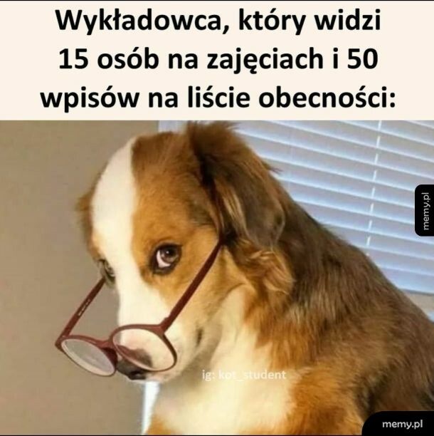 Nie kalkuluje się