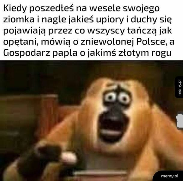 Miałeś chamie złoty róg