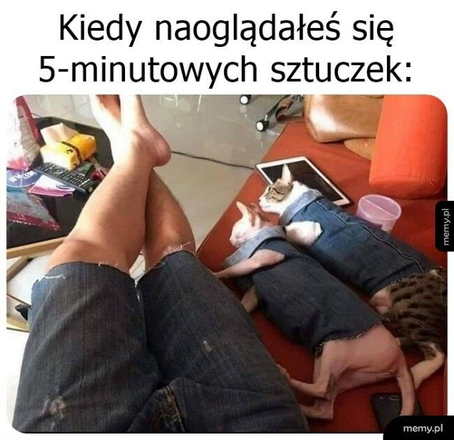 Już wcielone w życie