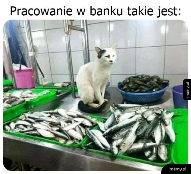 Praca w banku