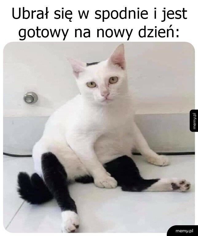 Gotowy na nowy dzień