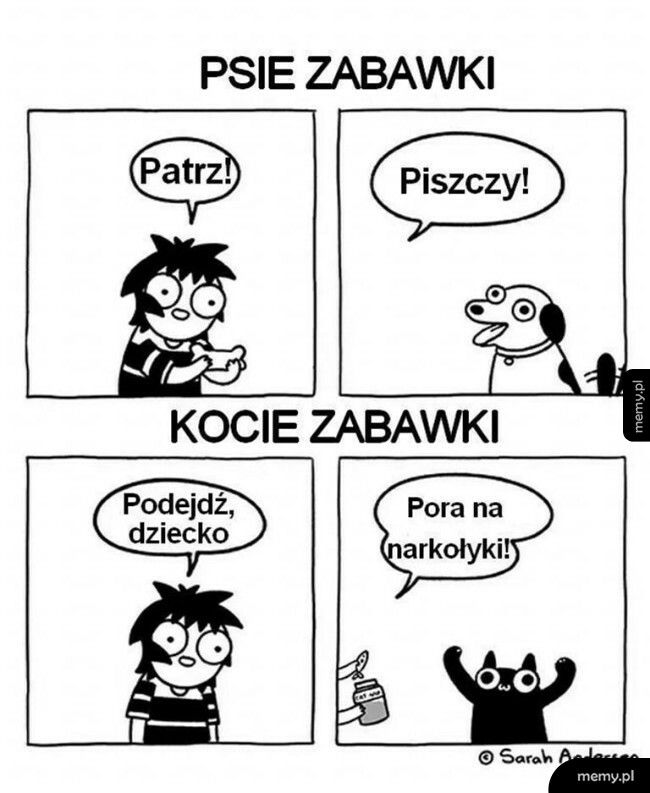 Psie zabawki vs. Kocie zabawki