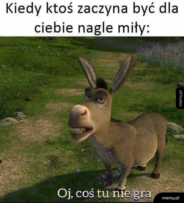 Coś będzie chciał