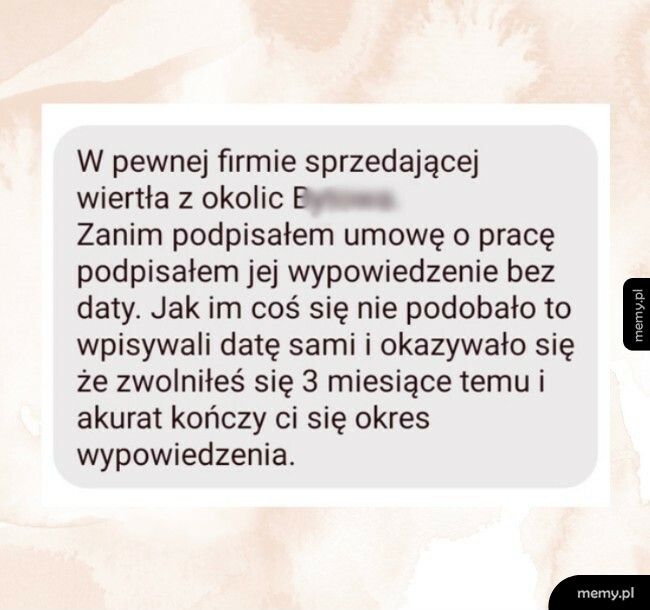 Praktyka w jednej z firm