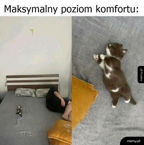 Maksymalny poziom komfortu