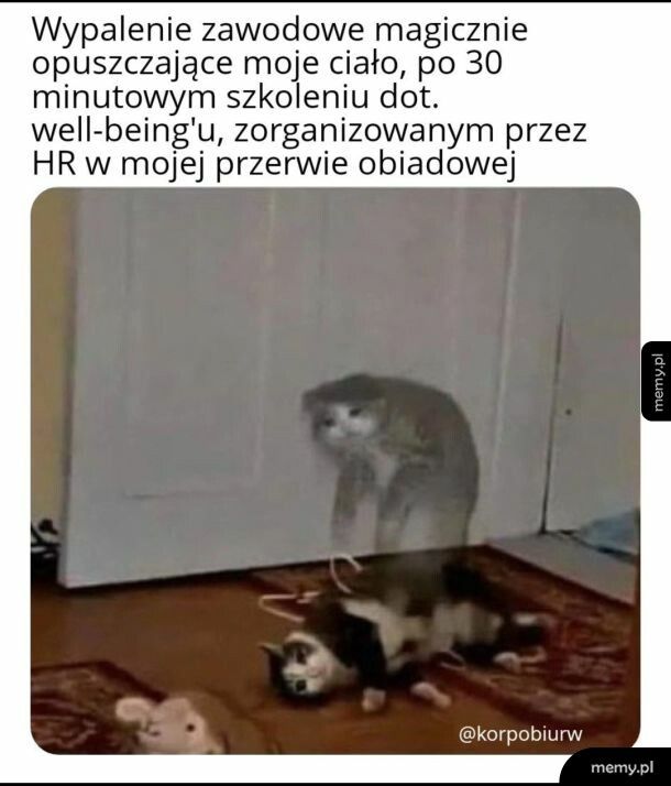 Zawsze te szkolenia