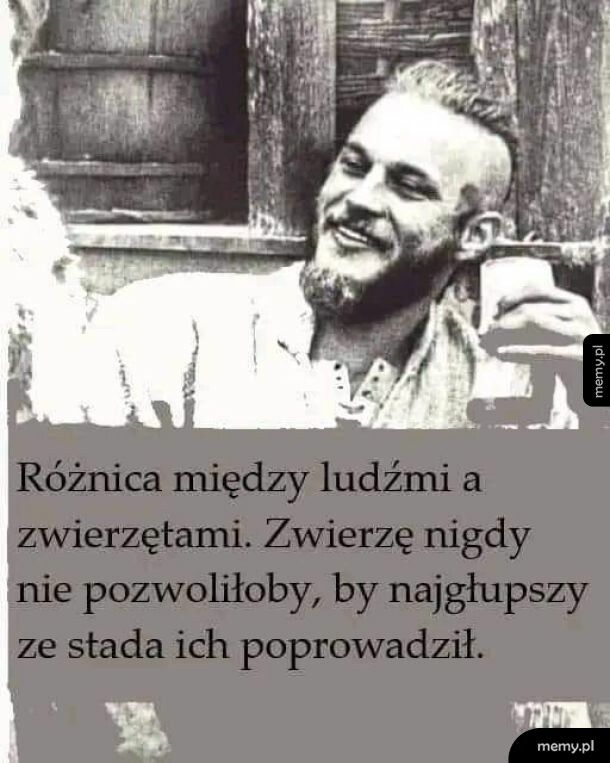 Różnica