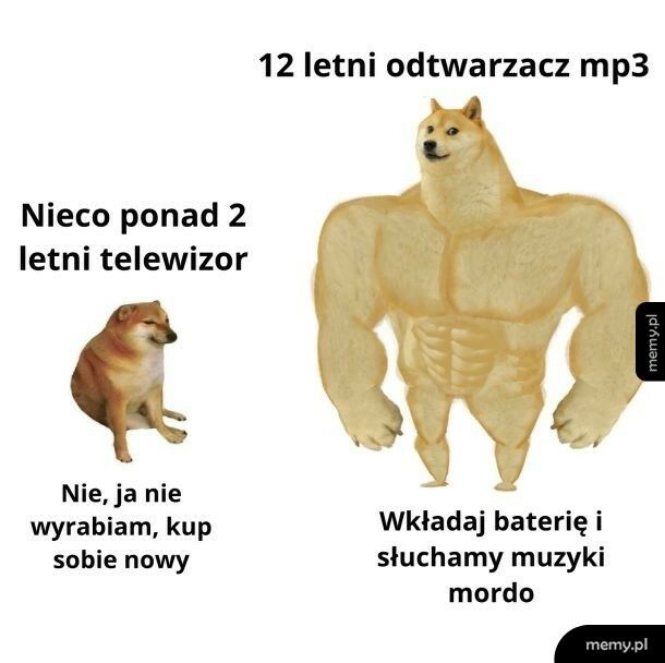 Trwałość sprzętów