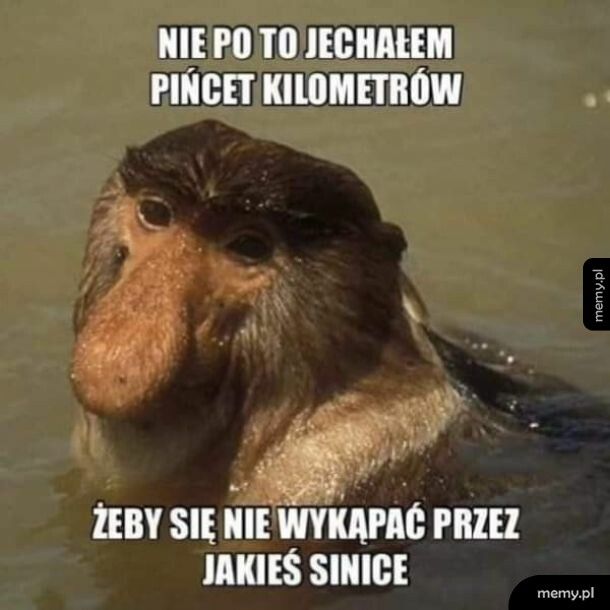 Nie po to jechał tyle kilometrów